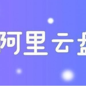 极速观看D丝男士1-4季超清视频，阿里云盘上无需下载！