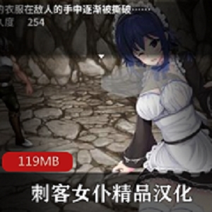 限时特惠安卓RPG蕾姆手游-刺客女仆，CG圣光遮挡，仅119MB！